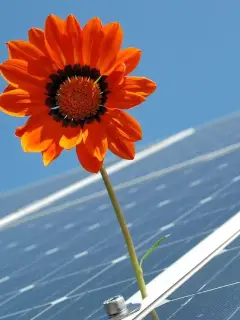 solutions solaires: panneau photovoltaïque, et panneau thermique pour une production d'ECS=une efficacité énergétique renforcée    