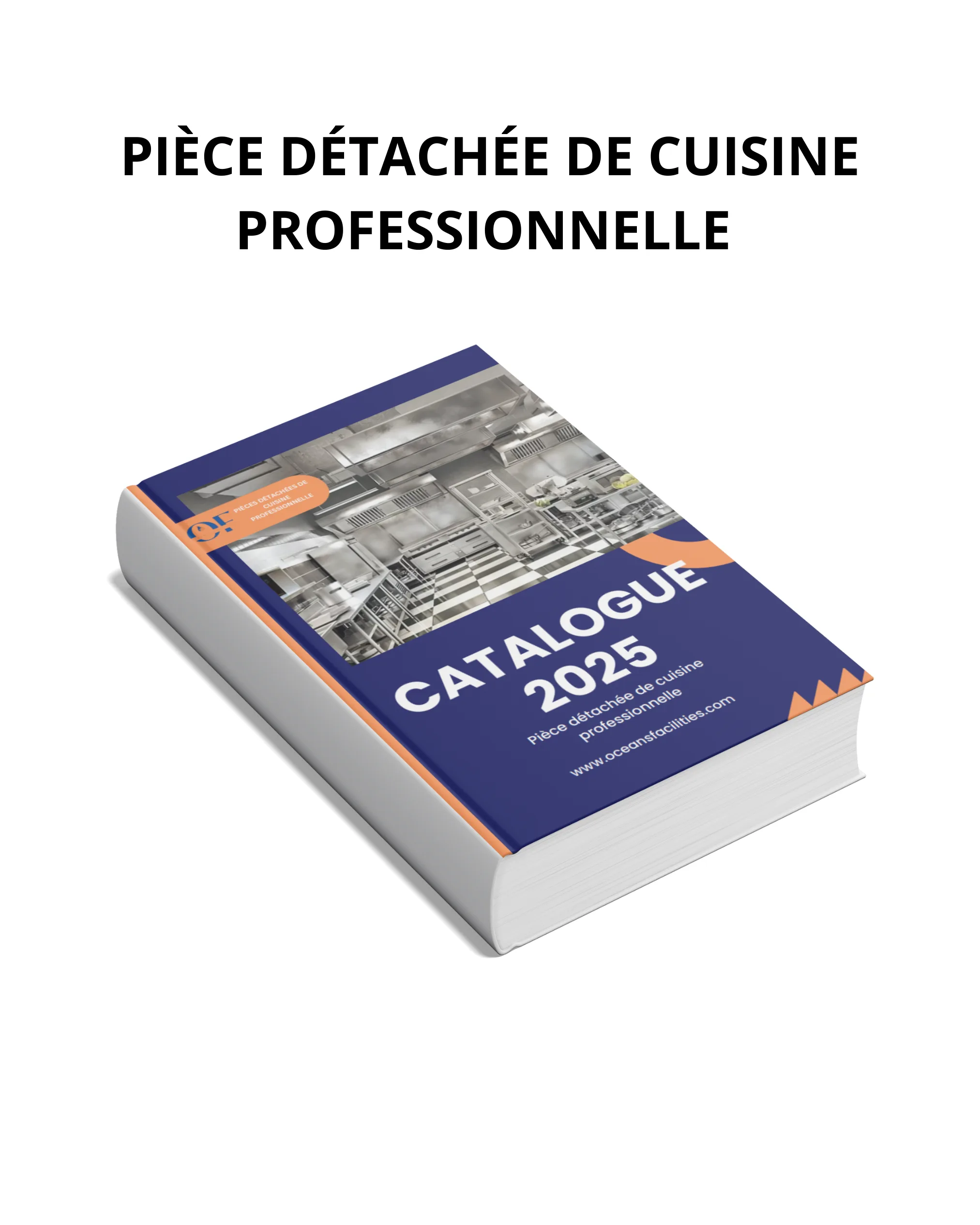 la cuisine professionnelle